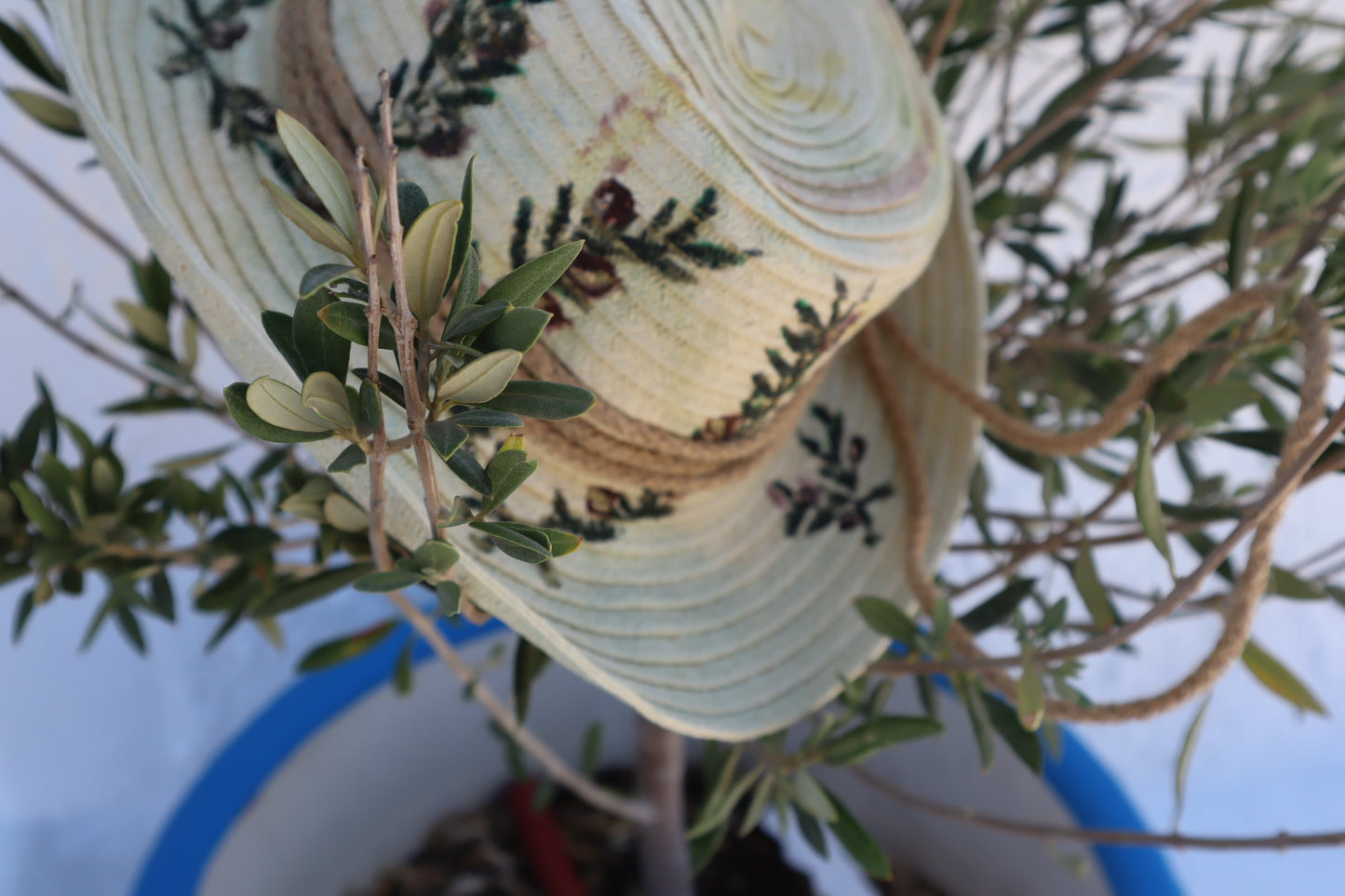 Χειροποίητο Ψάθινο Καπέλο με Ζωγραφική Ελιά