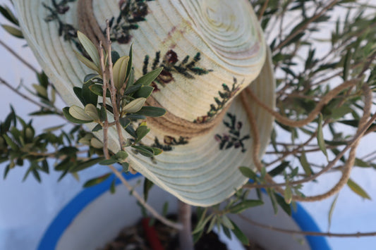 Χειροποίητο Ψάθινο Καπέλο με Ζωγραφική Ελιά